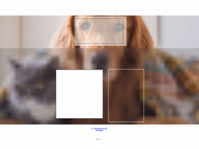hundplikt.se snapshot