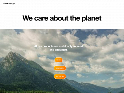 fuzesupply.com snapshot