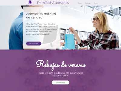 domtechaccesories.com snapshot