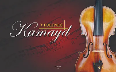violineskamayd.com snapshot