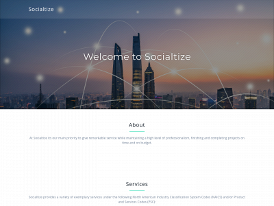 socialtize.co snapshot