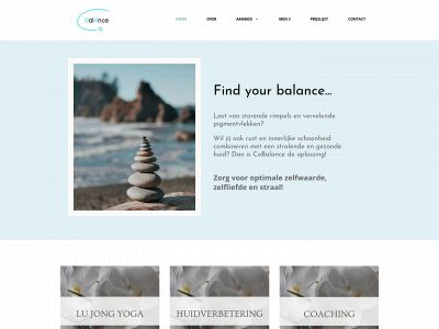 co-balance.be snapshot