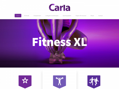 fitnessstudiocarla.nl snapshot