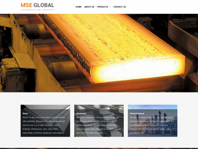 mseglobalco.com snapshot