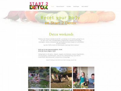 start2detox.be snapshot