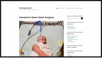 raisingjameson.com snapshot
