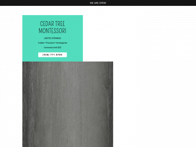 cedartreemontessori.com snapshot