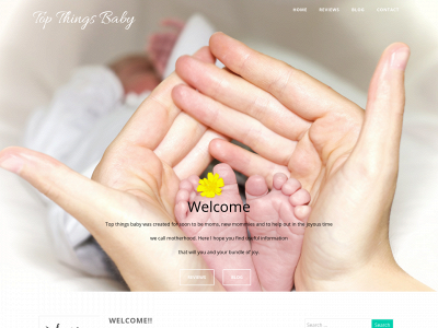topthingsbaby.com snapshot