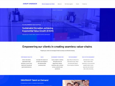 disruptsynergies.se snapshot