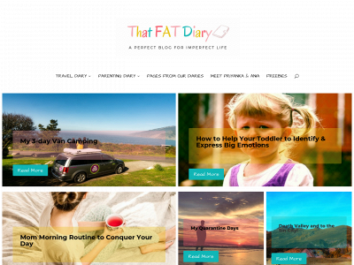 thatfatdiary.com snapshot