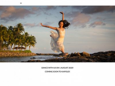 destinationdancehi.com snapshot