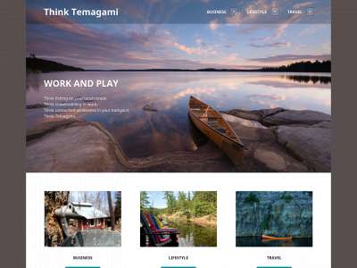 thinktemagami.com snapshot