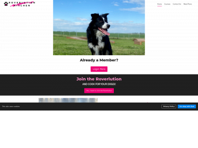 roverlutionkitchen.com snapshot
