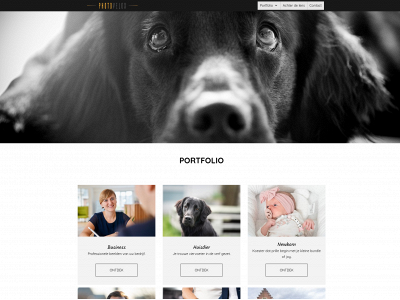 photovelox.be snapshot