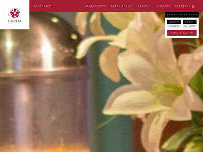 www.hotelcecilia.com.py snapshot