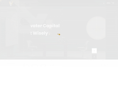 lightwatercapital.com snapshot