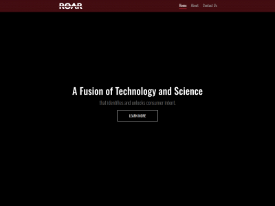 roar.com snapshot