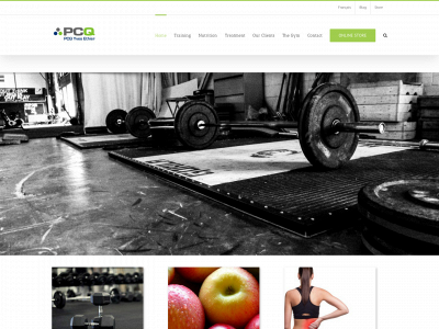 pcqyvesethier.com snapshot