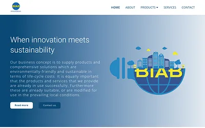 biabinnovation.com snapshot
