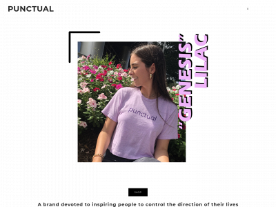 www.punctualclothing.com snapshot