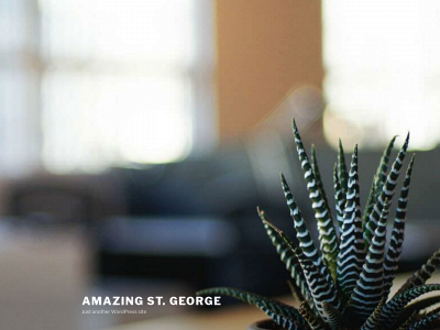 amazingstgeorge.com snapshot