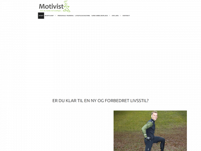 motivist.dk snapshot