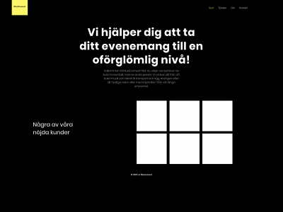 musiconnect.se snapshot