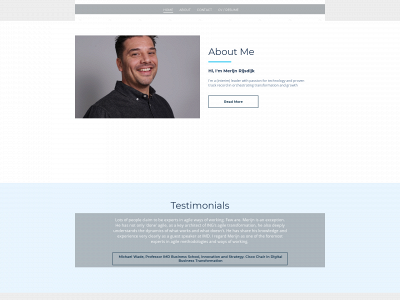 transformationventures.nl snapshot