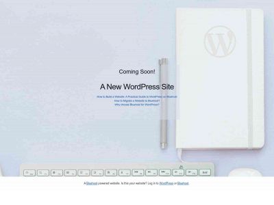 digital-sweep.com snapshot