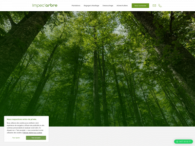 impecarbre.be snapshot
