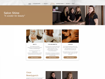salonshinelemmer.nl snapshot