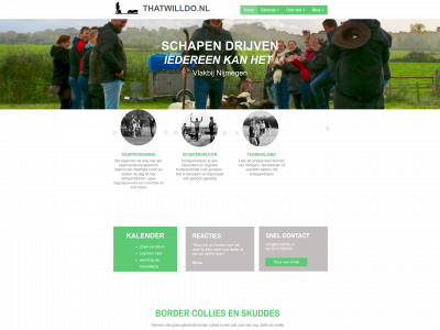 thatwilldo.nl snapshot