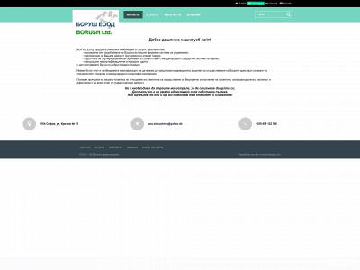 borush.consulting snapshot