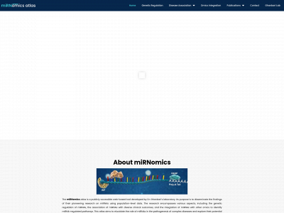 mirnomics.com snapshot