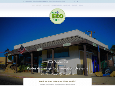 theecostoreonline.com snapshot