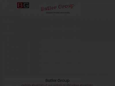batlergroup.be snapshot