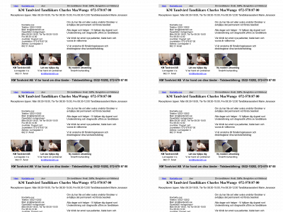 tandendin.se snapshot