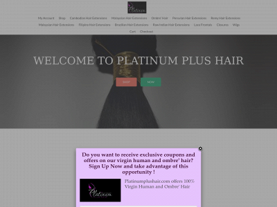 platinumplushair.com snapshot