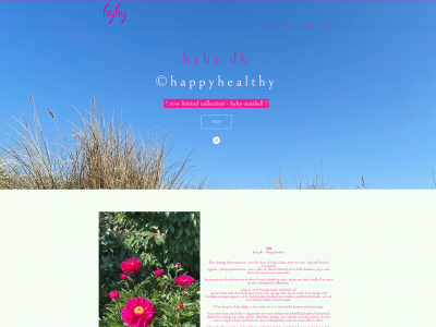 hyhy.dk snapshot