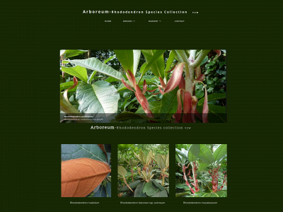 arboreum.org snapshot