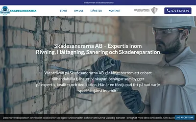 skadesanerarna.se snapshot