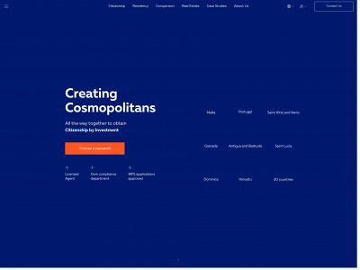 immigrantinvestrealestate.com snapshot