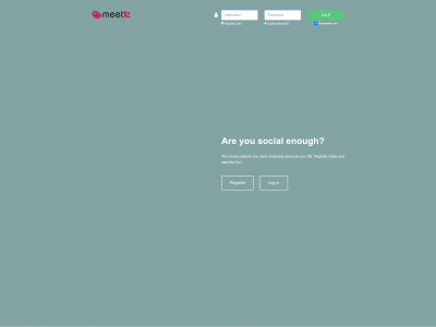 meettiz.com snapshot