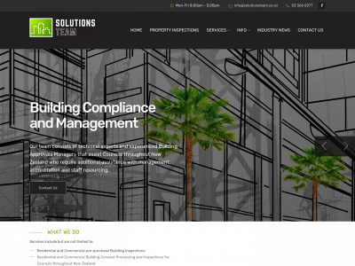solutionsteam.co.nz snapshot