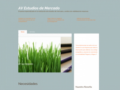 avestudiosdemercado.com snapshot