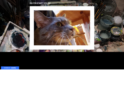 fineartvolar.weebly.com snapshot
