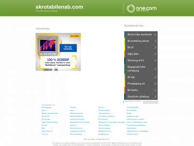 skrotabilenab.com snapshot