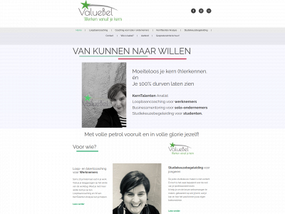 valuebel.be snapshot
