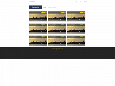 processhanterarna.com snapshot