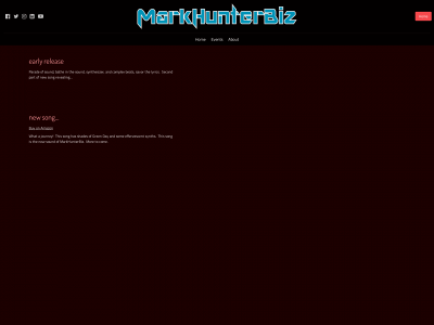 markhunterbiz.com snapshot